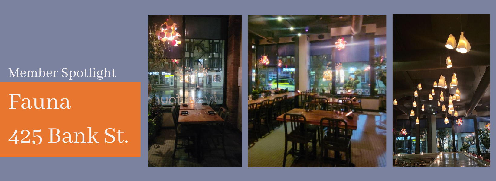 Fauna - 425 Bank Street