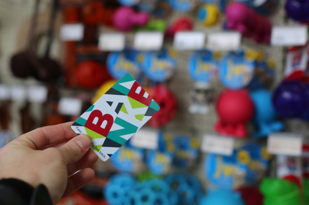 Healthy Pets HQ at 420 Bank Street, Ottawa